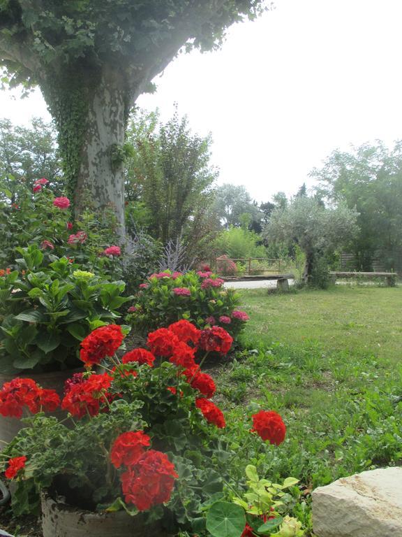 Mas Le Nathakassou Villa Cabannes Buitenkant foto